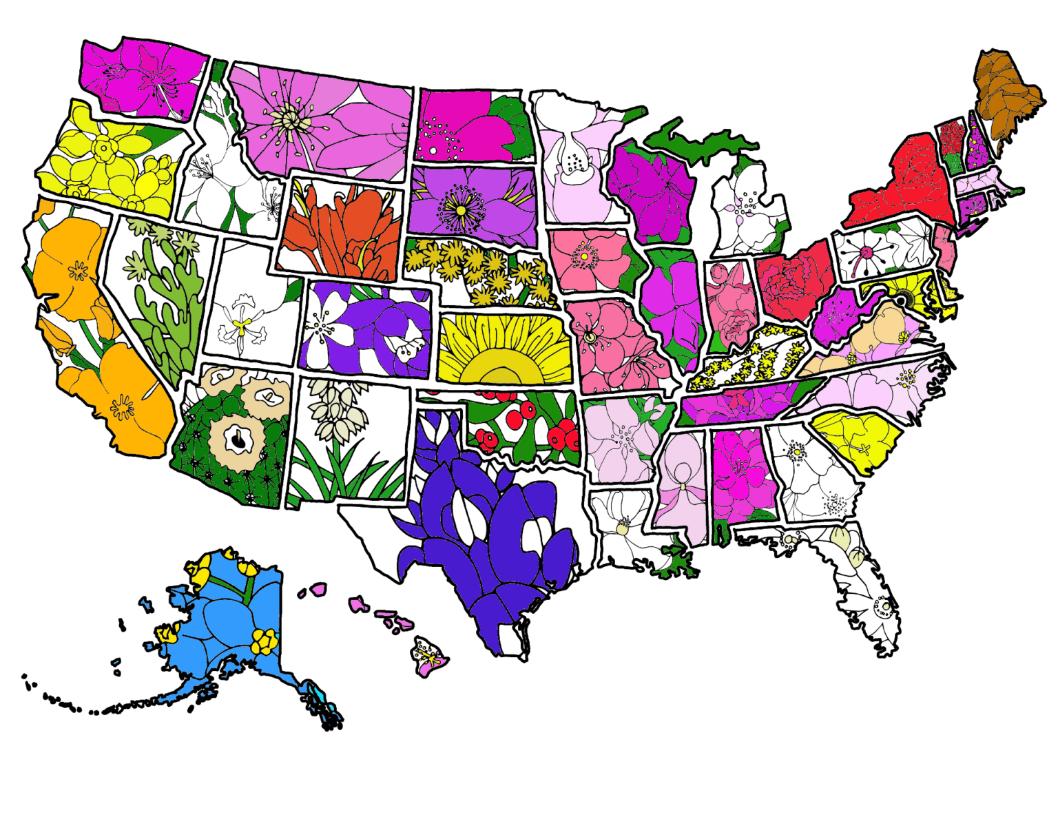 Montana flower map